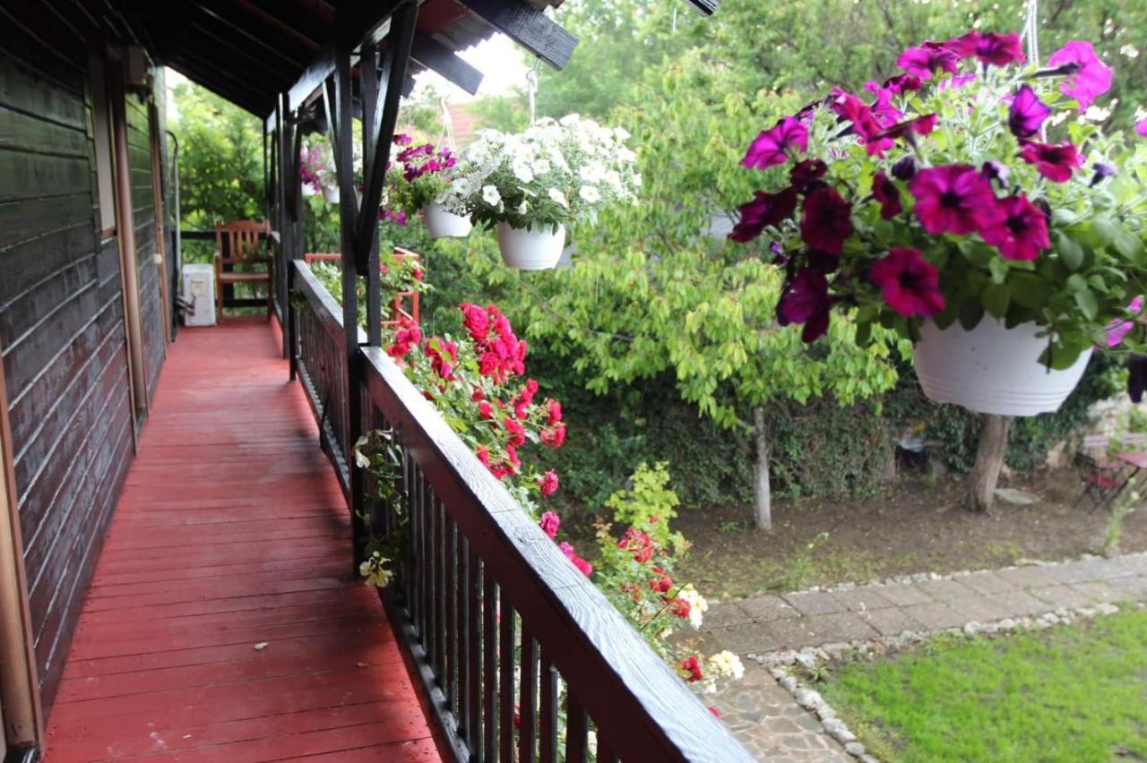 C Dor De Vama Bedrooms Vama Veche Exteriér fotografie